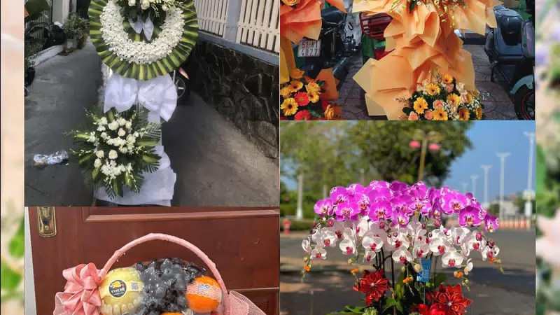 Shop Hoa Tươi Phường Thống Nhất - Tỉnh Gia Lai