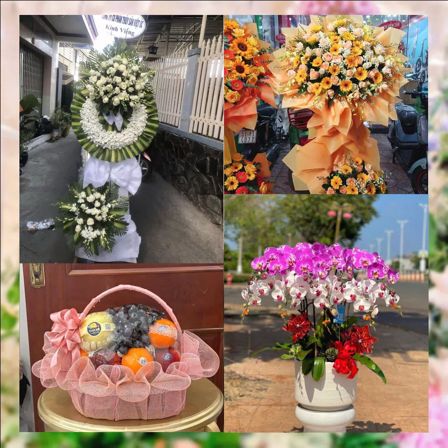 Shop Hoa Tươi Phường Thống Nhất - Tỉnh Gia Lai