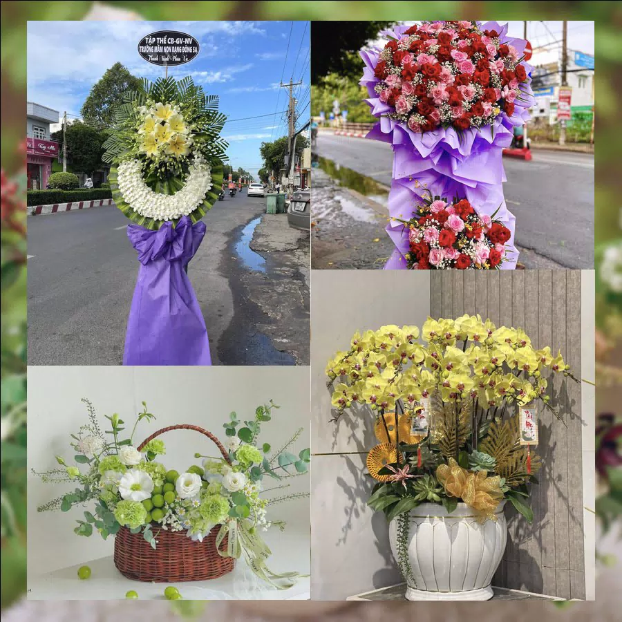 Shop Hoa Tươi Phường Thành Nhất - Tỉnh Đắk Lắk