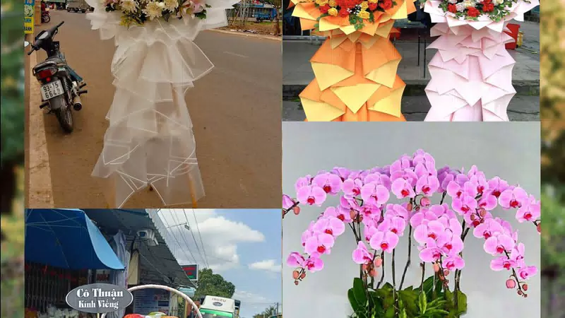 Shop Hoa Tươi Phường Phú Yên - Tỉnh Đắk Lắk