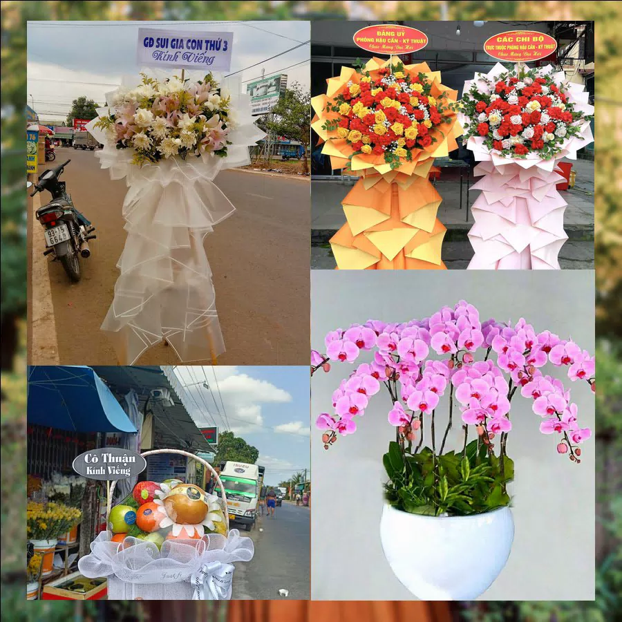Shop Hoa Tươi Phường Phú Yên - Tỉnh Đắk Lắk