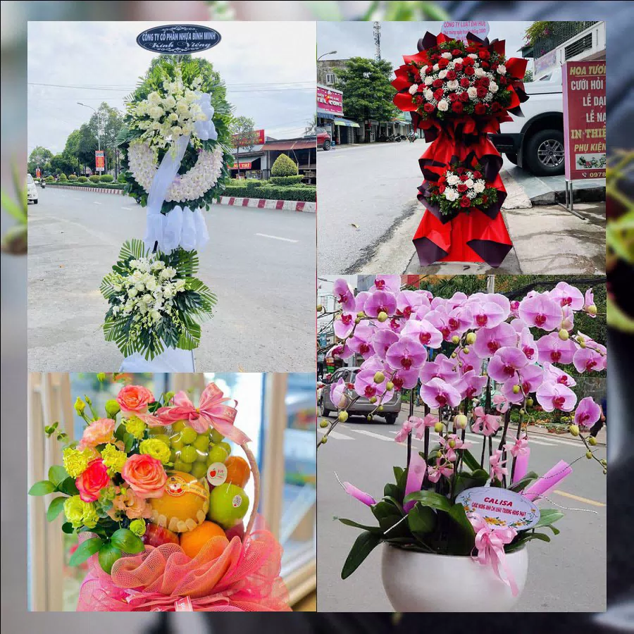 Shop Hoa Tươi Phường Mỹ Thượng - Thành phố Huế