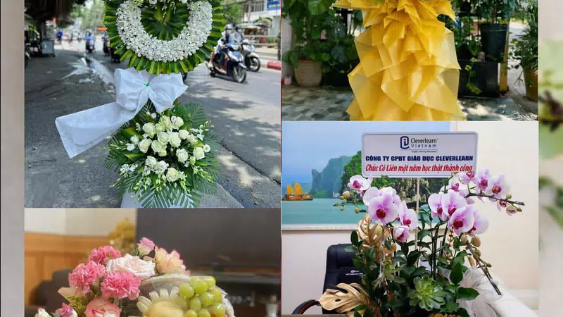 Shop Hoa Tươi Xã Cần Giuộc - Tỉnh Tây Ninh