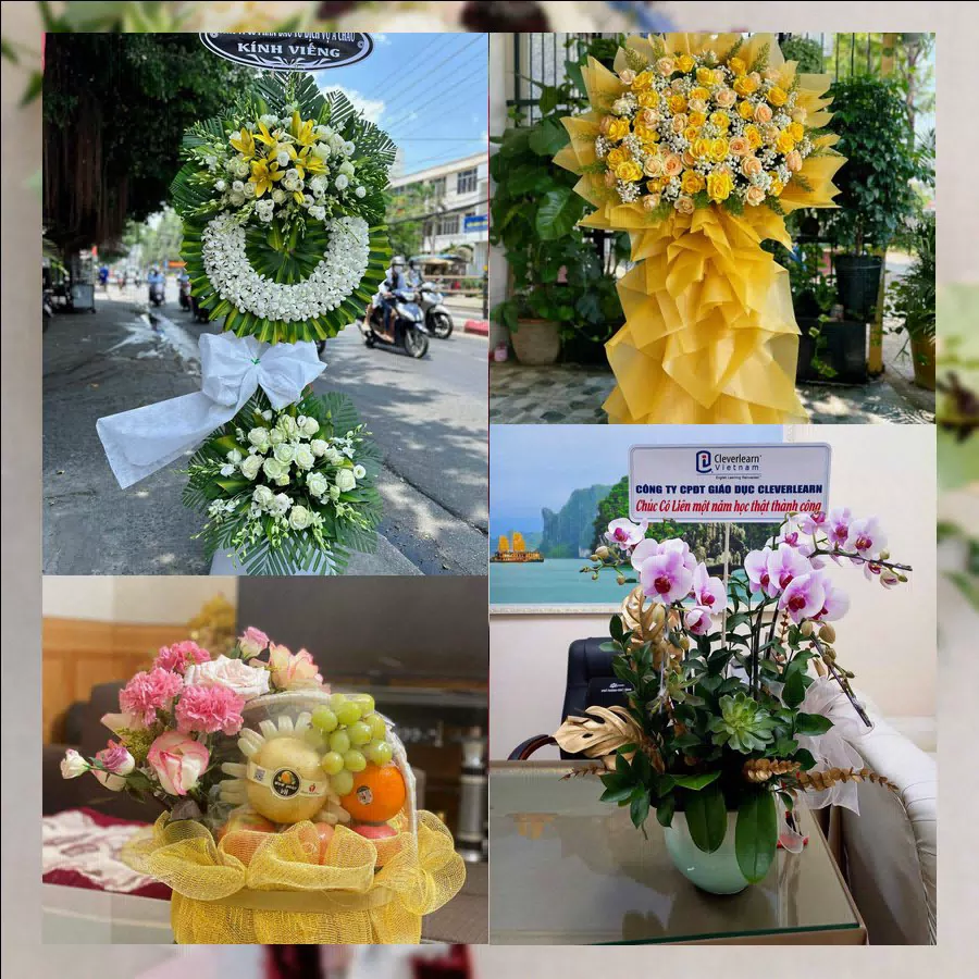 Shop Hoa Tươi Xã Cần Giuộc - Tỉnh Tây Ninh
