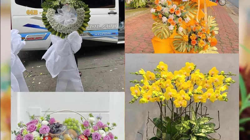 Shop Hoa Tươi Xã Hồng Sơn - Thành phố Hà Nội