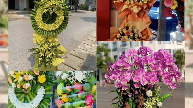 Shop Hoa Tươi Xã Hải Anh - Tỉnh Ninh Bình