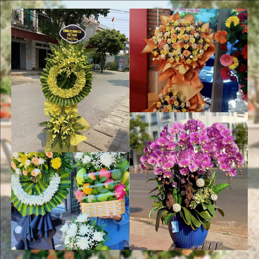 Shop Hoa Tươi Xã Hải Anh - Tỉnh Ninh Bình
