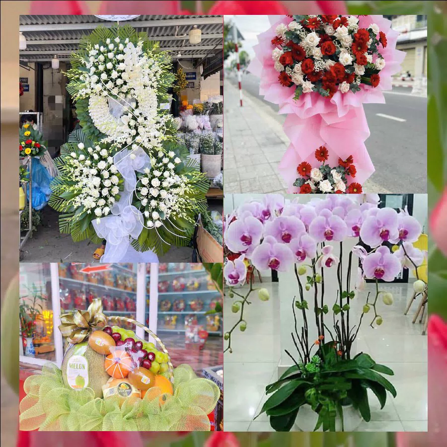 Kệ hoa khai trương và giỏ hoa tươi tại shop hoa tươi Xã Hải Anh
