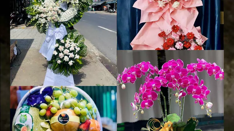 Shop Hoa Tươi Xã Quỳnh Anh - Tỉnh Nghệ An