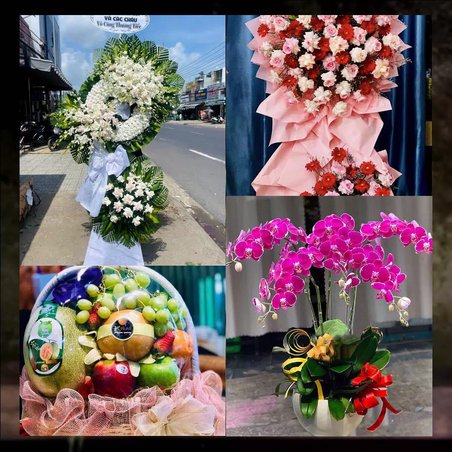 Shop Hoa Tươi Xã Quỳnh Anh - Tỉnh Nghệ An