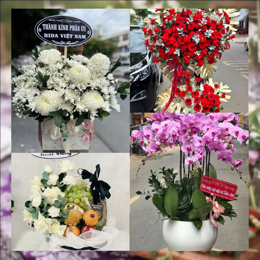 Kệ hoa khai trương rực rỡ giao tại Phường Quan Triều