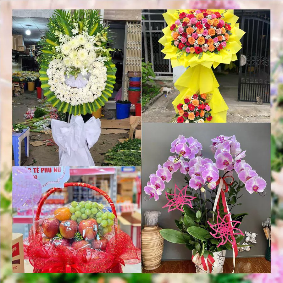 Shop Hoa Tươi Xã Phú Thái - Thành phố Hải Phòng