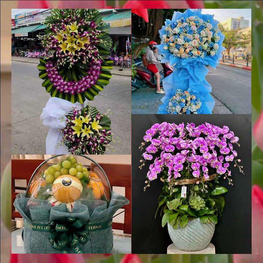 Chậu lan hồ điệp và hoa tươi giao tại Xã Phú Thái