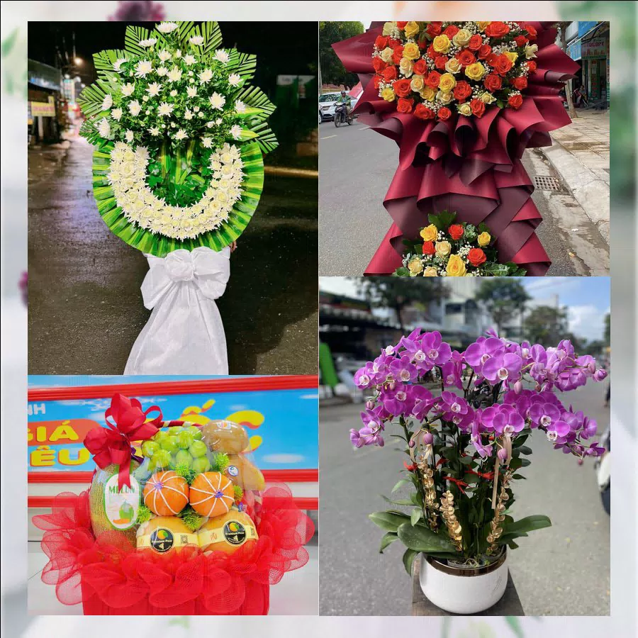 Chậu lan hồ điệp và hoa tươi tại shop hoa tươi Phường Việt Hưng