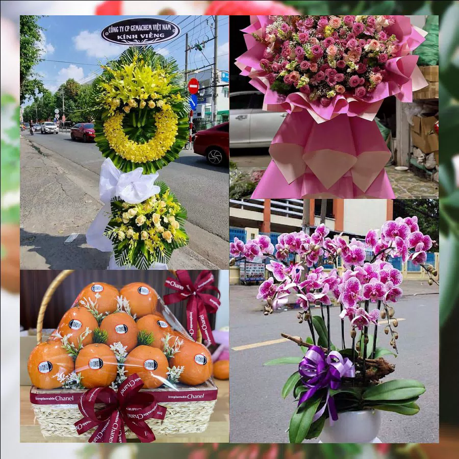 Shop Hoa Tươi Phường Thới Sơn - Tỉnh Đồng Tháp