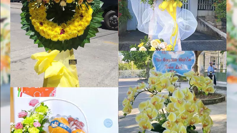 Shop Hoa Tươi Phường Tùng Thiện - Thành phố Hà Nội