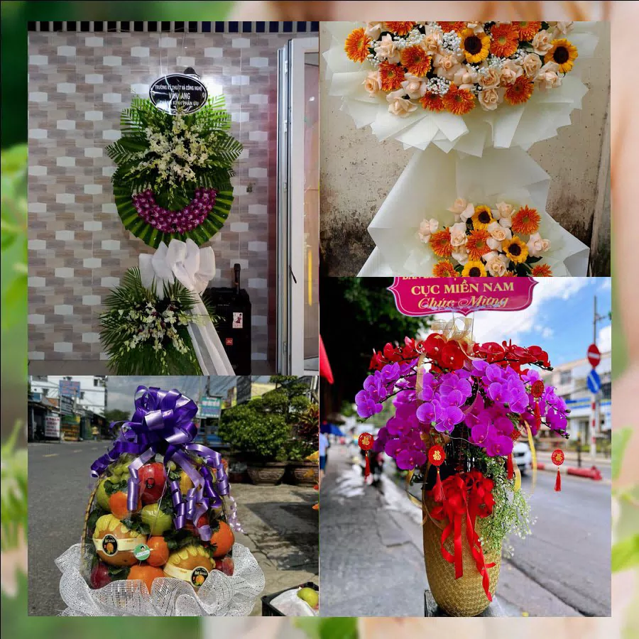 Shop Hoa Tươi Xã Long Điền - Tỉnh An Giang