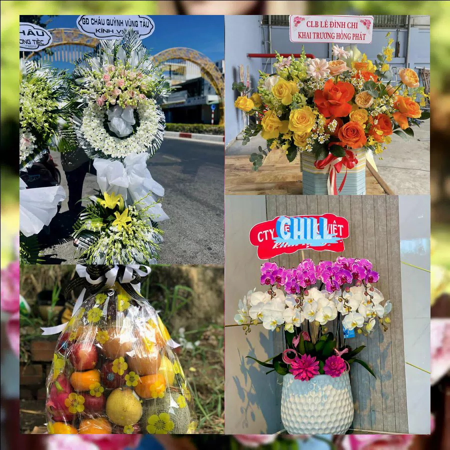 Shop Hoa Tươi Xã Quảng Oai - Thành phố Hà Nội