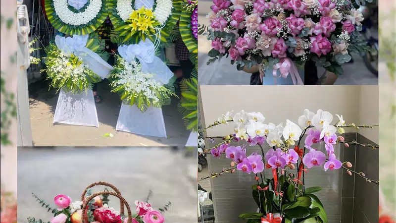 Shop Hoa Tươi Phường Bãi Cháy - Tỉnh Quảng Ninh