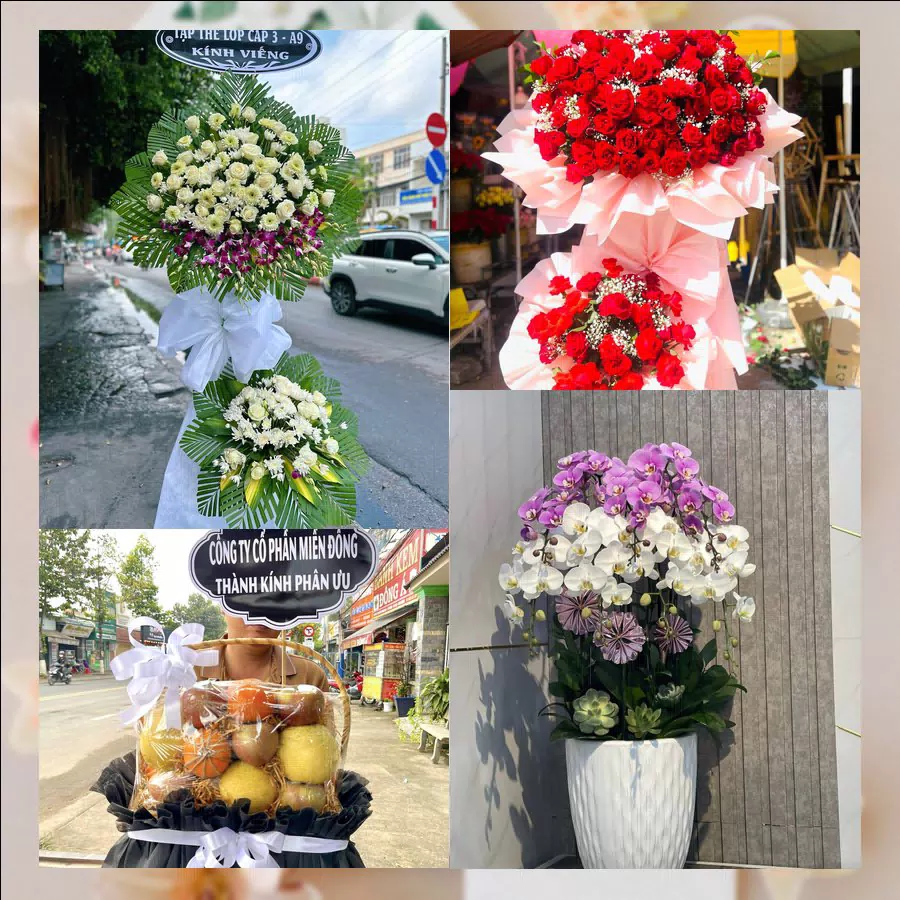 Giỏ hoa và trái cây tươi giao tận nơi tại Xã Đông Hưng