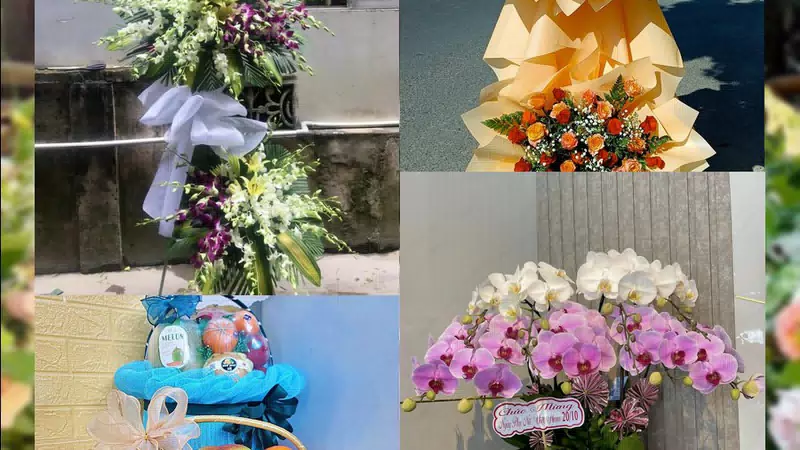 Shop Hoa Tươi Phường Ngã Bảy - Thành phố Cần Thơ