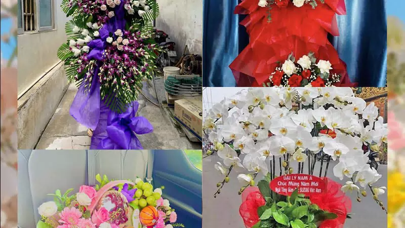 Shop Hoa Tươi Phường Quy Nhơn Bắc - Tỉnh Gia Lai