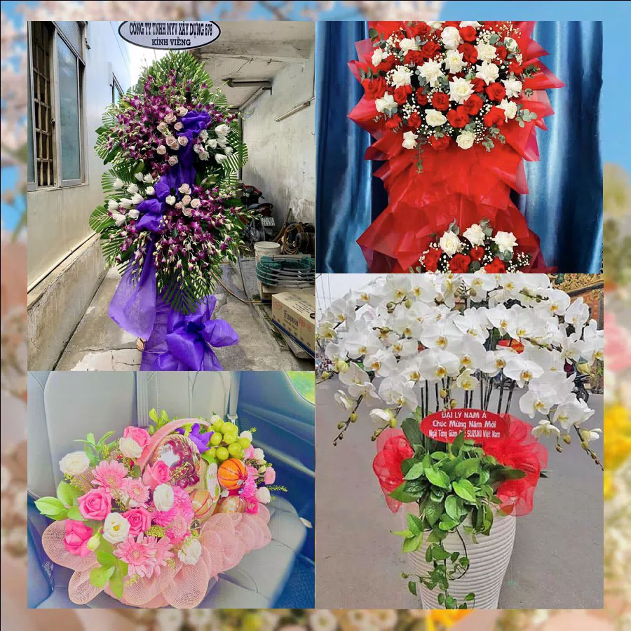 Shop Hoa Tươi Phường Quy Nhơn Bắc - Tỉnh Gia Lai