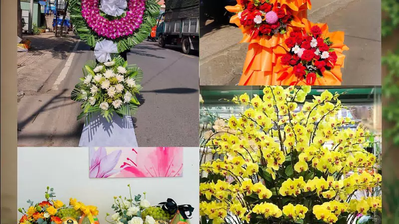 Shop Hoa Tươi Xã Diên Khánh - Tỉnh Khánh Hòa