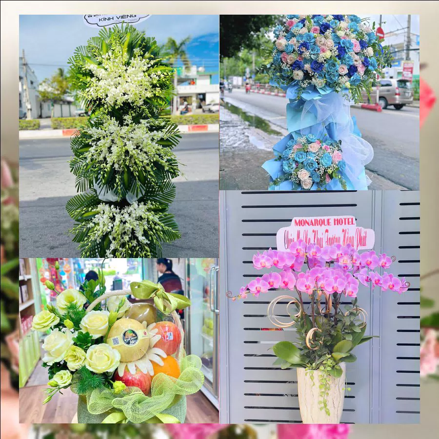 Chậu lan hồ điệp và giỏ hoa tươi tại shop hoa tươi Phường Quế Võ