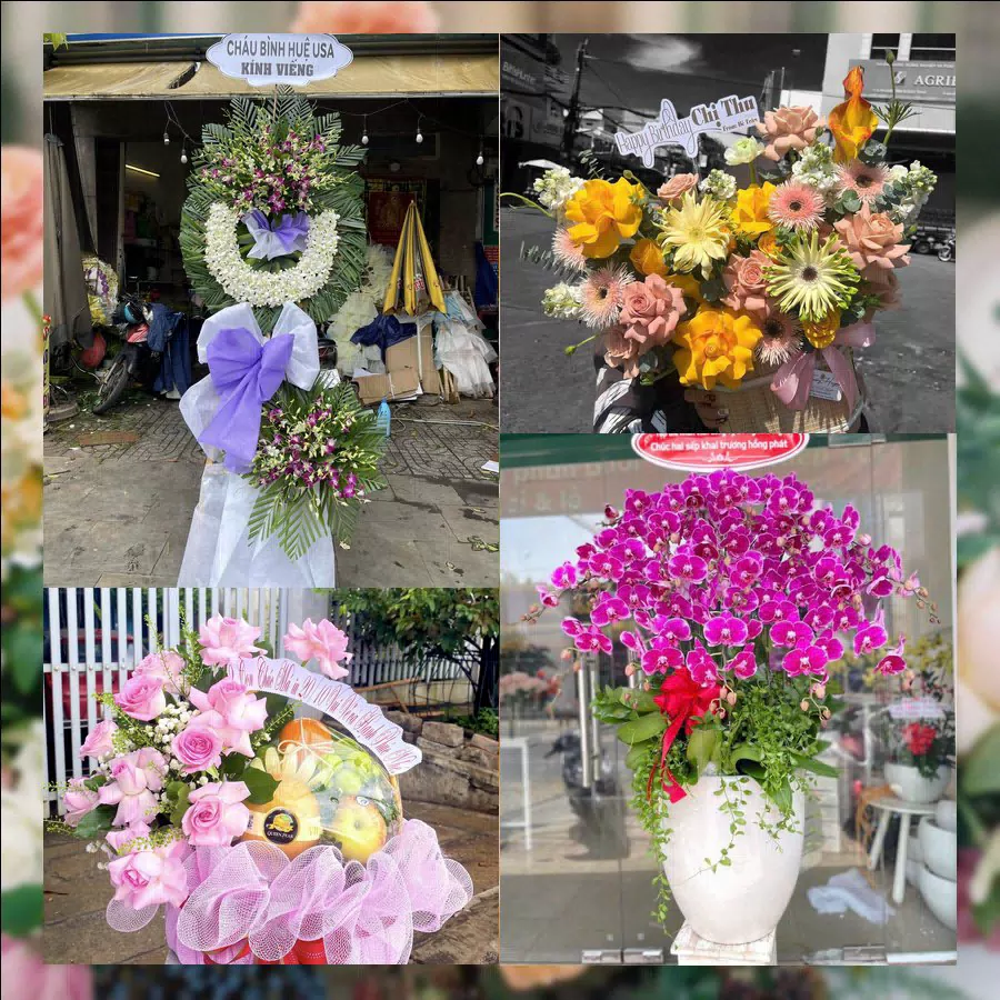Shop Hoa Tươi Xã Tuy Phước - Tỉnh Gia Lai