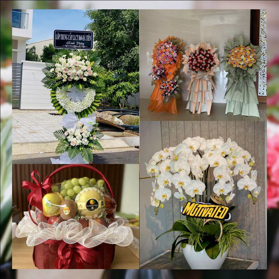 Shop Hoa Tươi Xã Lai Vung - Tỉnh Đồng Tháp