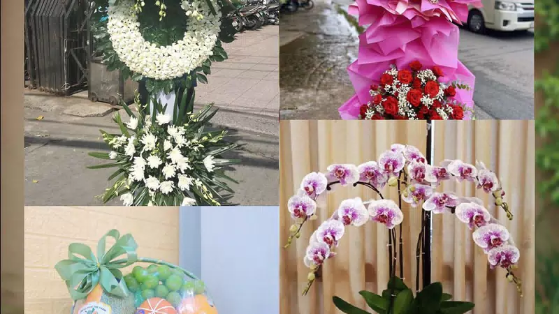 Shop Hoa Tươi Phường Ngọc Sơn - Tỉnh Thanh Hóa