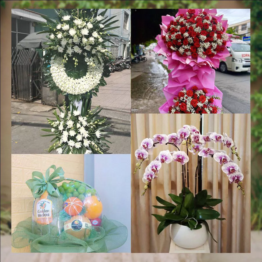 Shop Hoa Tươi Phường Ngọc Sơn - Tỉnh Thanh Hóa