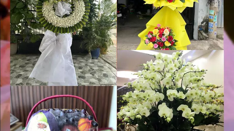 Shop Hoa Tươi Phường Lào Cai - Tỉnh Lào Cai