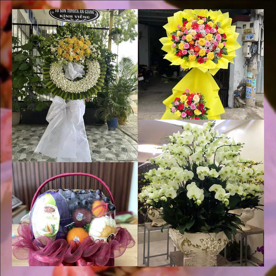 Shop Hoa Tươi Phường Lào Cai - Tỉnh Lào Cai
