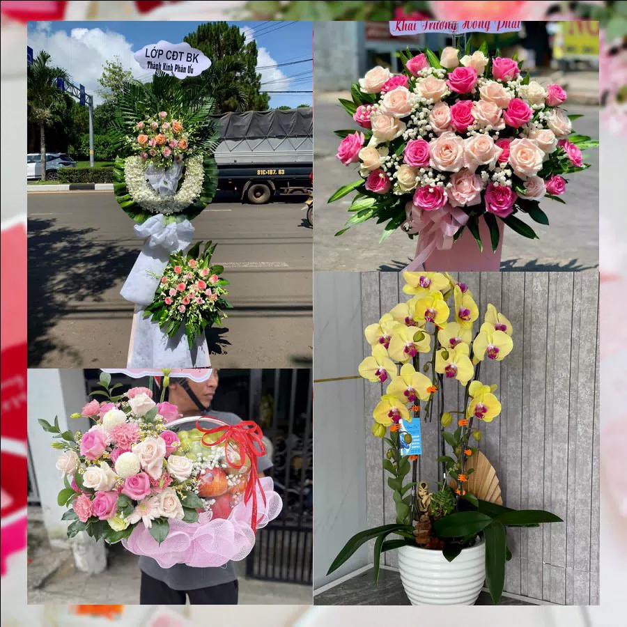 Shop Hoa Tươi Phường Thanh Điền - Tỉnh Tây Ninh