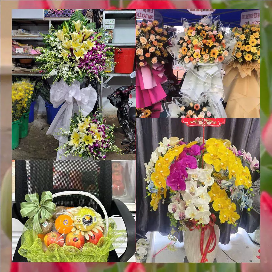 Shop Hoa Tươi Xã Hội An - Tỉnh An Giang