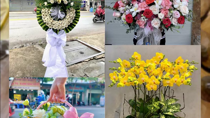 Shop Hoa Tươi Phường Cam Đường - Tỉnh Lào Cai