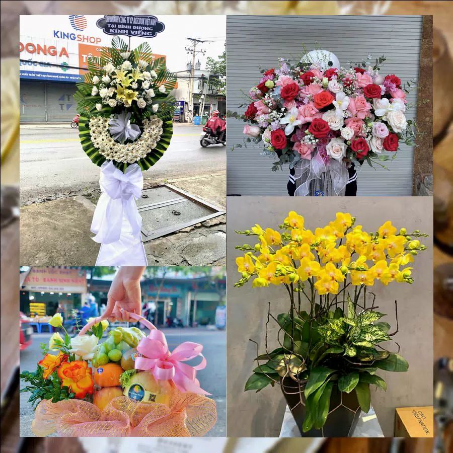 Shop Hoa Tươi Phường Cam Đường - Tỉnh Lào Cai