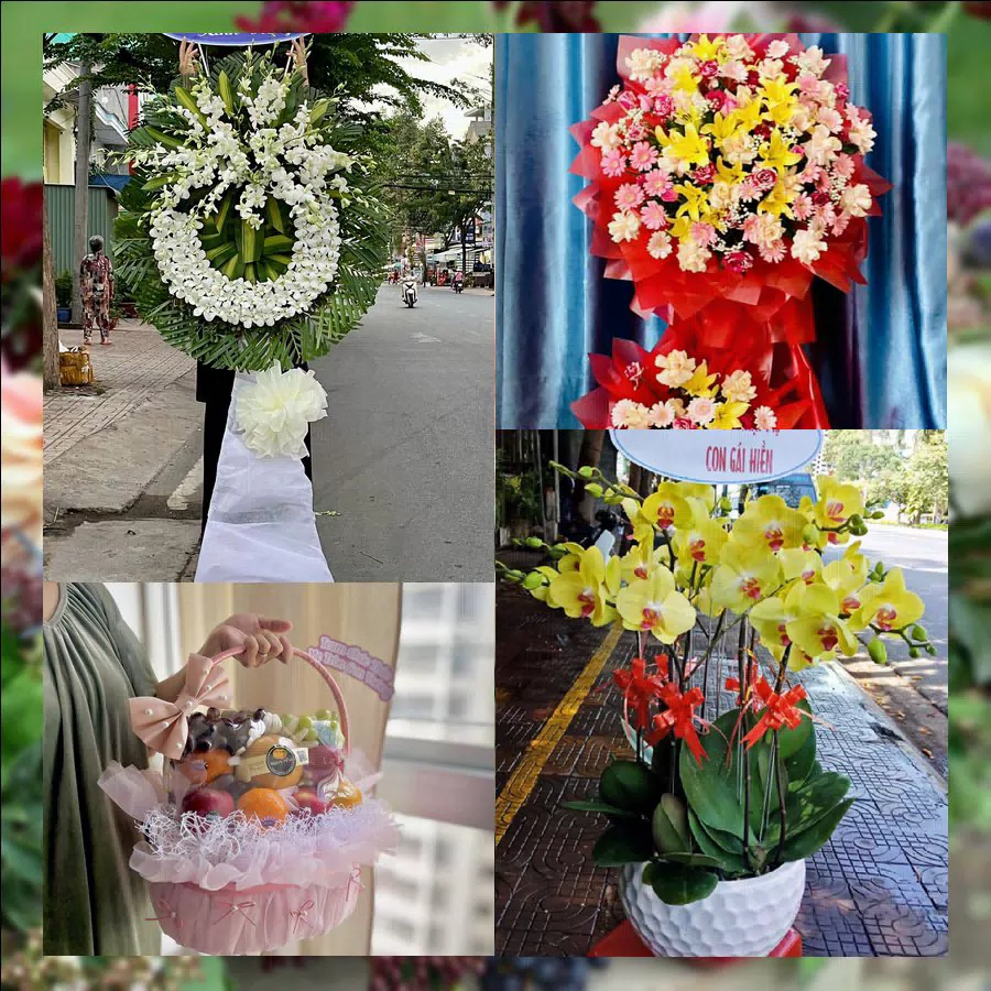 Shop Hoa Tươi Xã Giao Thủy - Tỉnh Ninh Bình