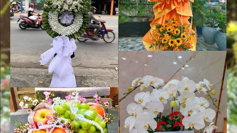 Shop Hoa Tươi Xã Mỹ Yên - Tỉnh Tây Ninh