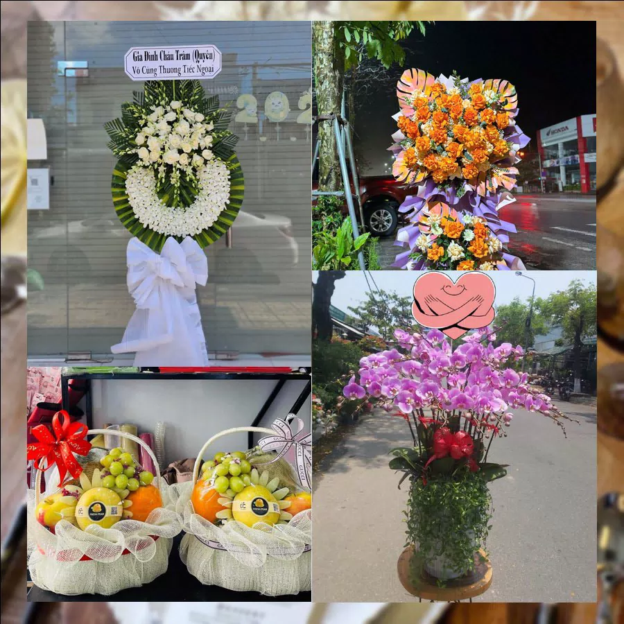 Lan hồ điệp sang trọng tại shop hoa tươi Phường Nam Sầm Sơn