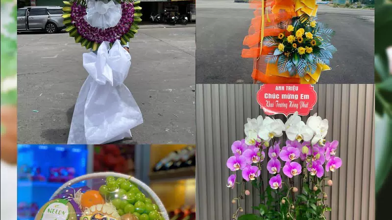 Shop Hoa Tươi Xã Vĩnh Tường - Tỉnh Phú Thọ