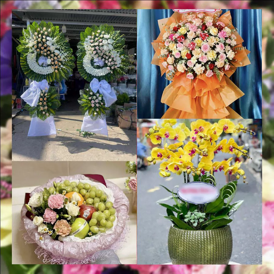 Chậu lan hồ điệp tươi tại shop hoa tươi Xã Vĩnh Tường