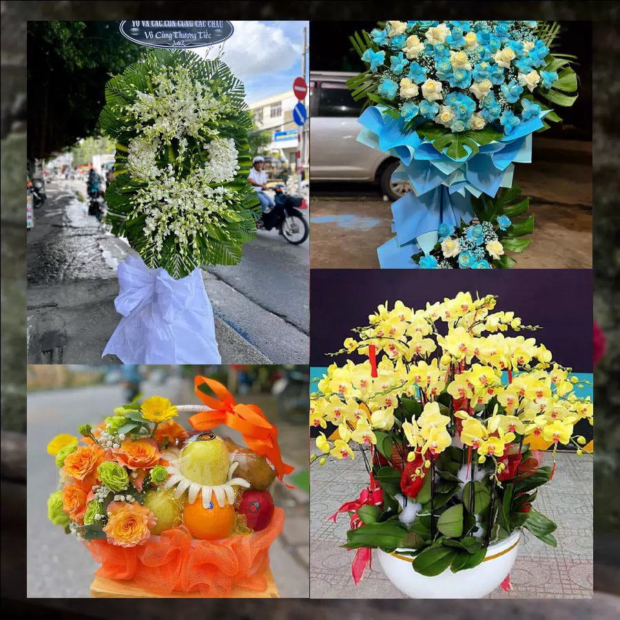Giỏ trái cây và hoa tươi giao tại Phường Tam Long