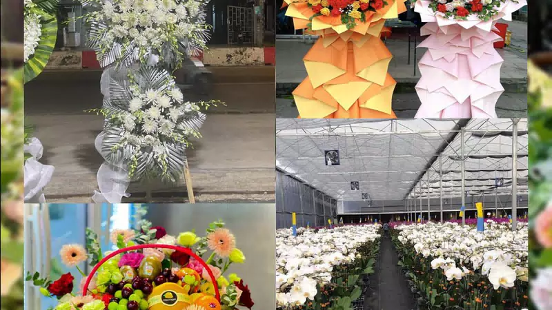 Shop Hoa Tươi Xã Tiên Du - Tỉnh Bắc Ninh