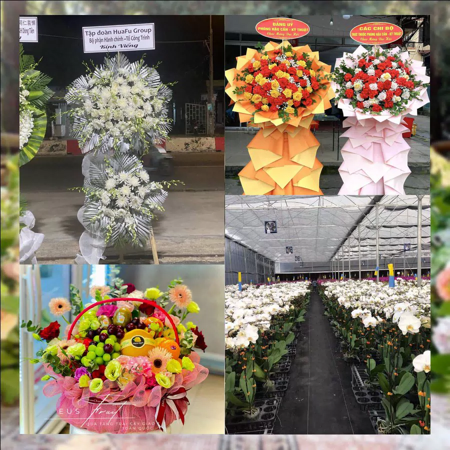Shop Hoa Tươi Xã Tiên Du - Tỉnh Bắc Ninh