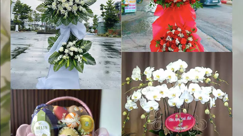 Shop Hoa Tươi Phường Tân An - Tỉnh Đắk Lắk