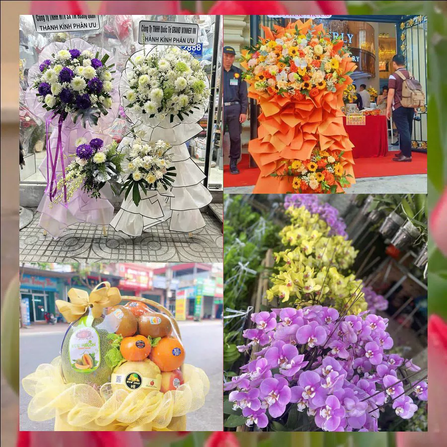 Kệ hoa khai trương tươi thắm giao tại Phường Tân An, Đắk Lắk