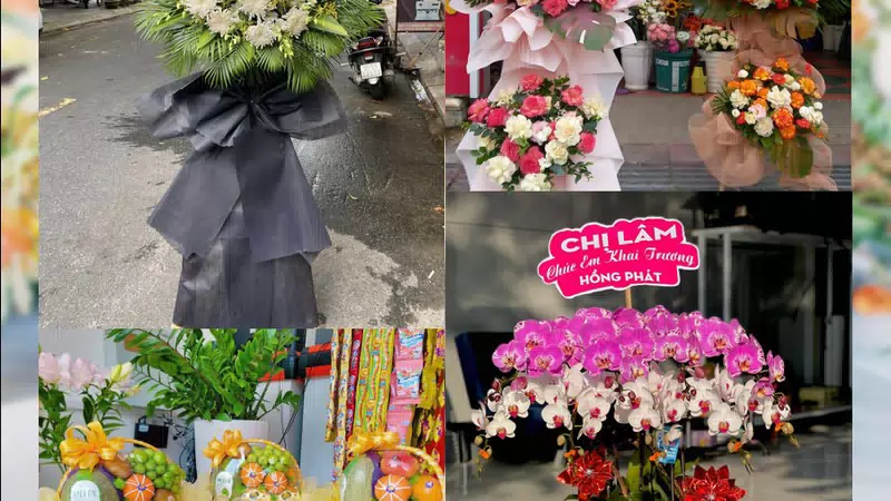 Shop Hoa Tươi Xã Hưng Hà - Tỉnh Hưng Yên